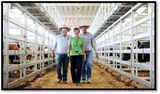 Stock agents bid big for their 'headspace Hero'