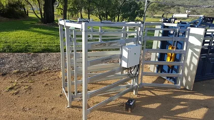 Newsletter - December 2015