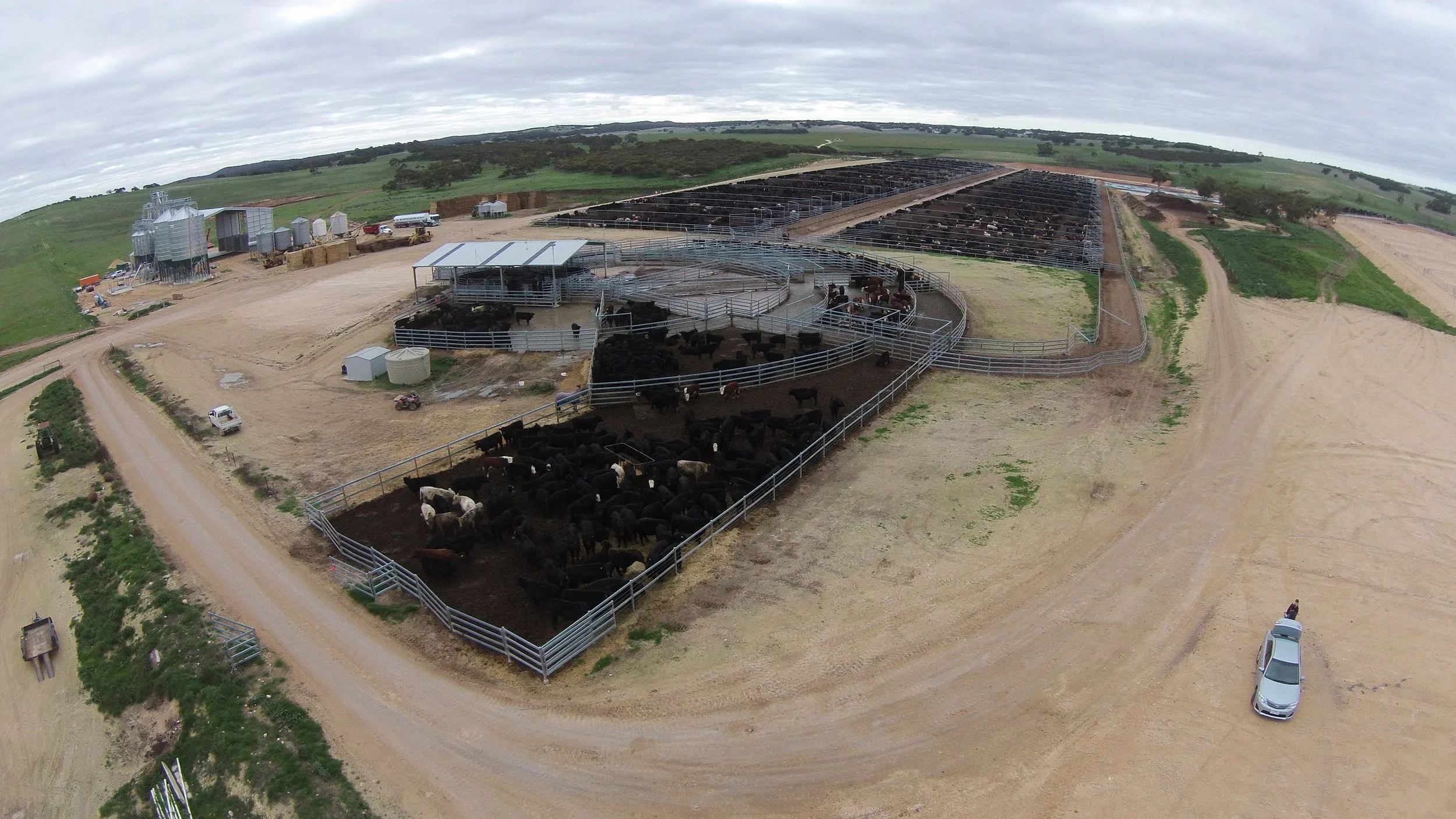 Original feedlot and induction centre