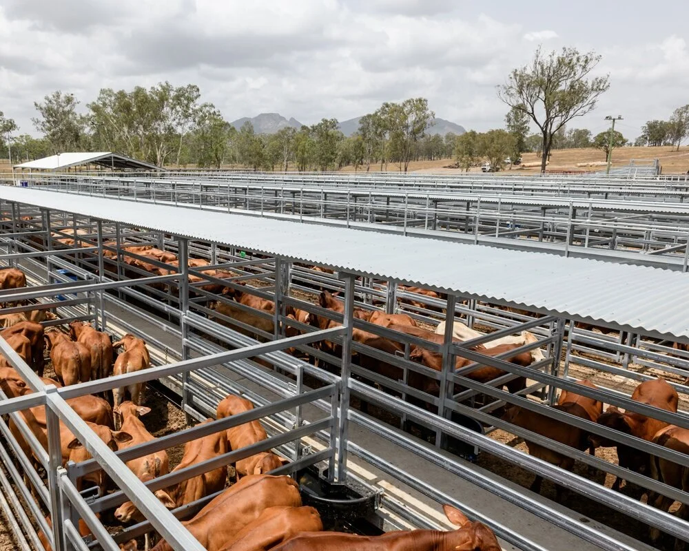 Biggenden Cattle Sale Calendar
