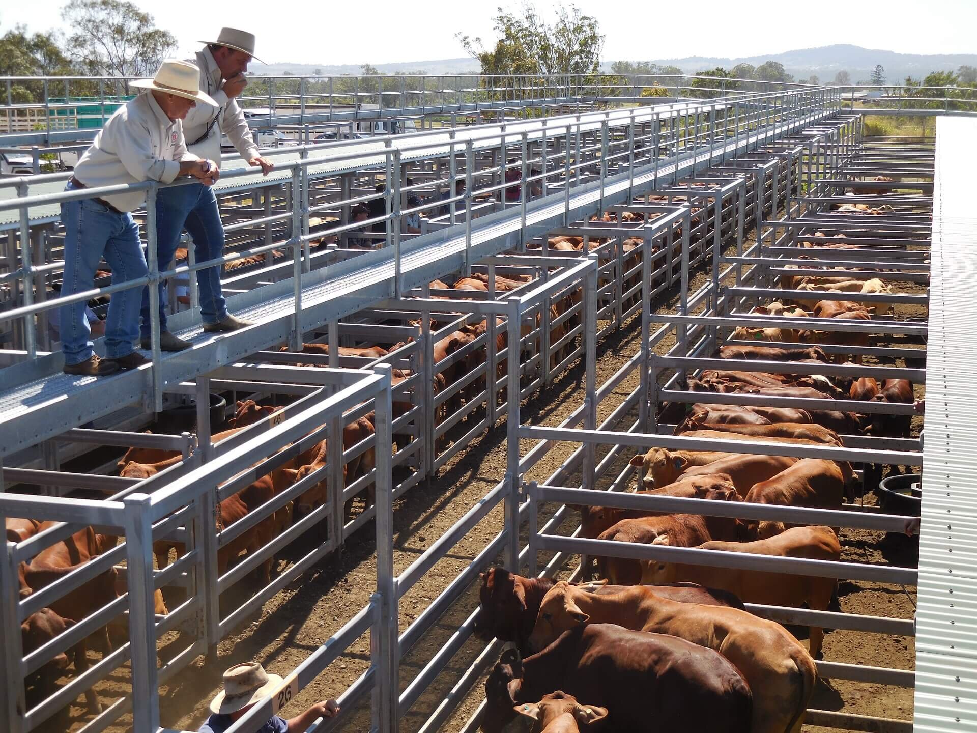 Beaudesert Saleyards.jpg