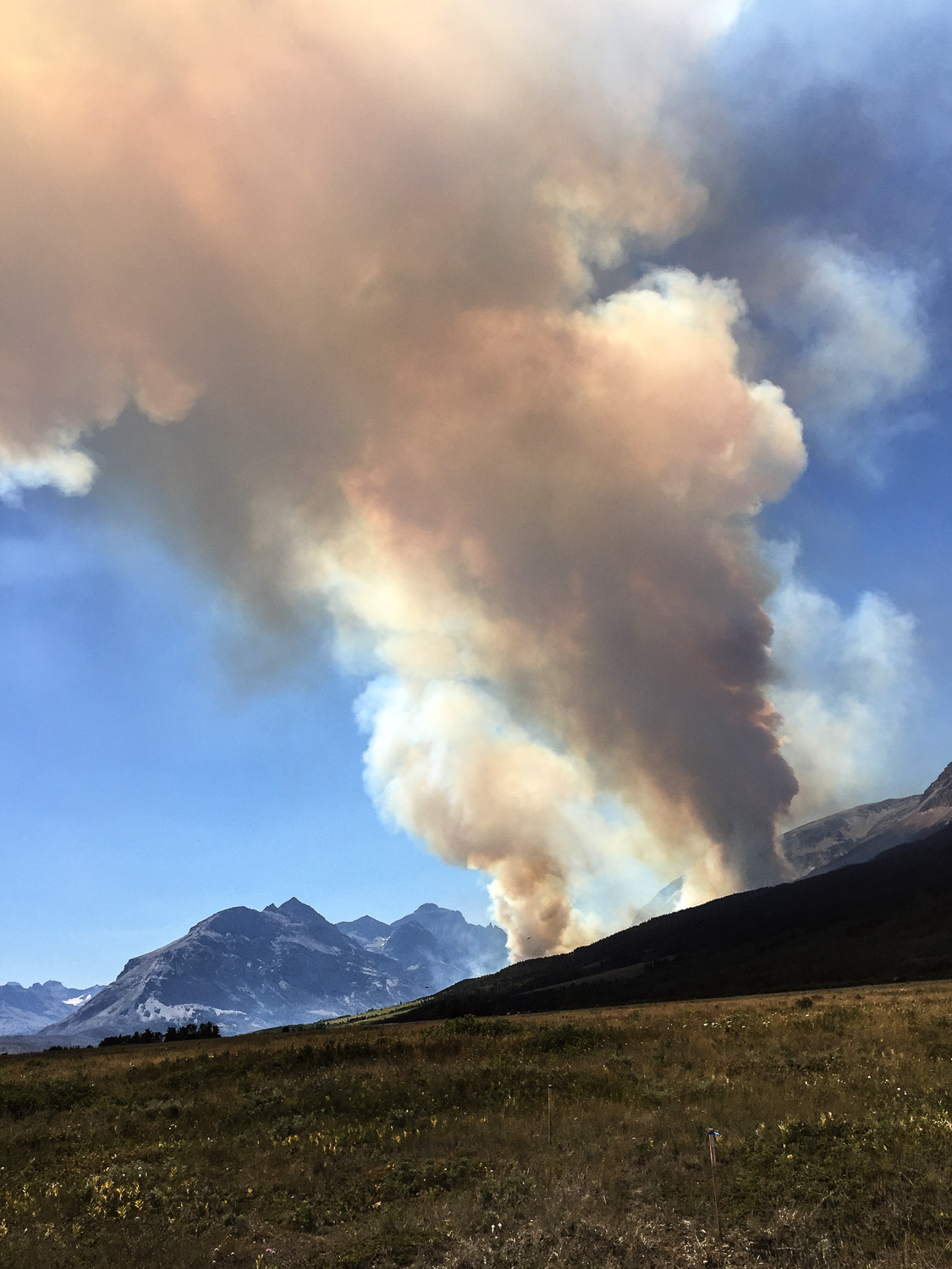 Fire, Glacier National Park