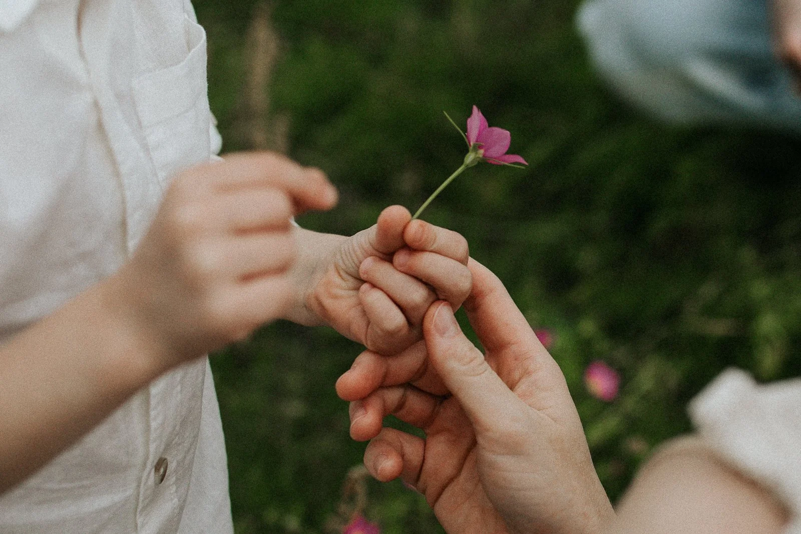    Photographs to remind you how it felt.  For the days you'll wish you could step back into.  