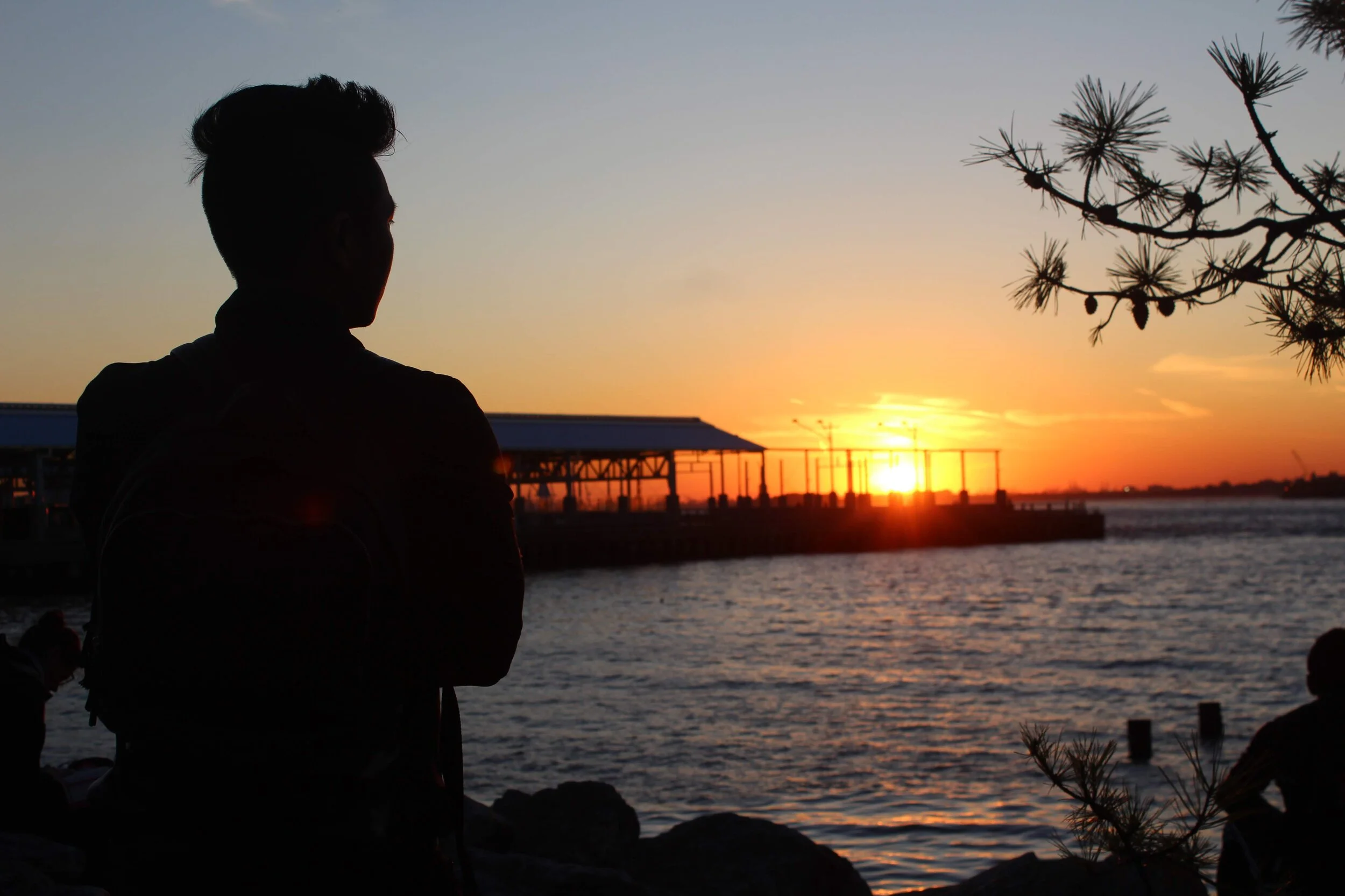 256 | Develop Your Ambition Line