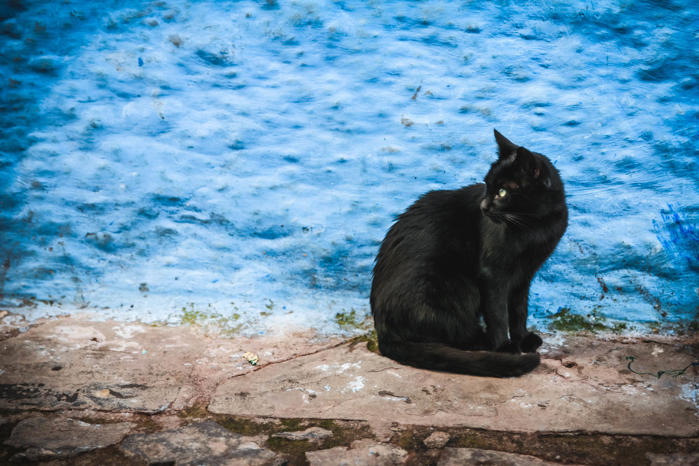 chefchaouen-55.jpg