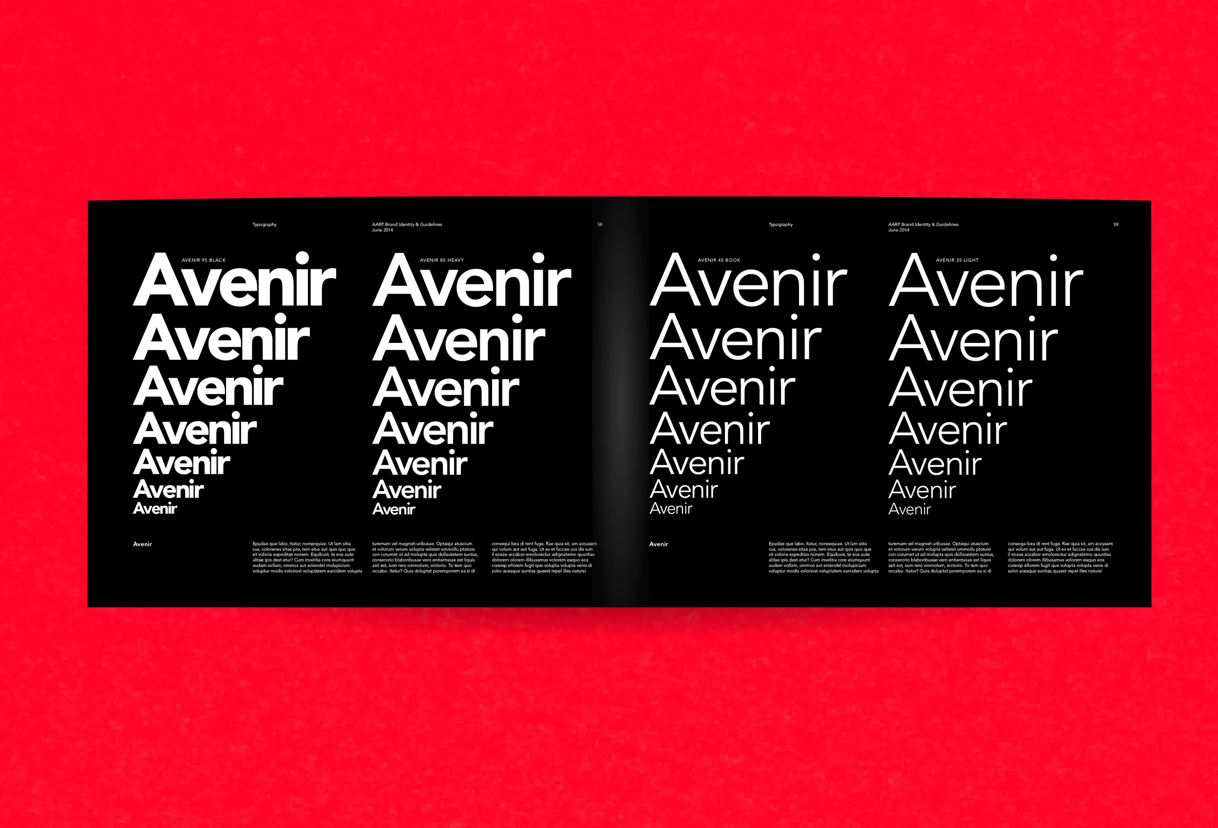 AARP-BrandBook3.jpg