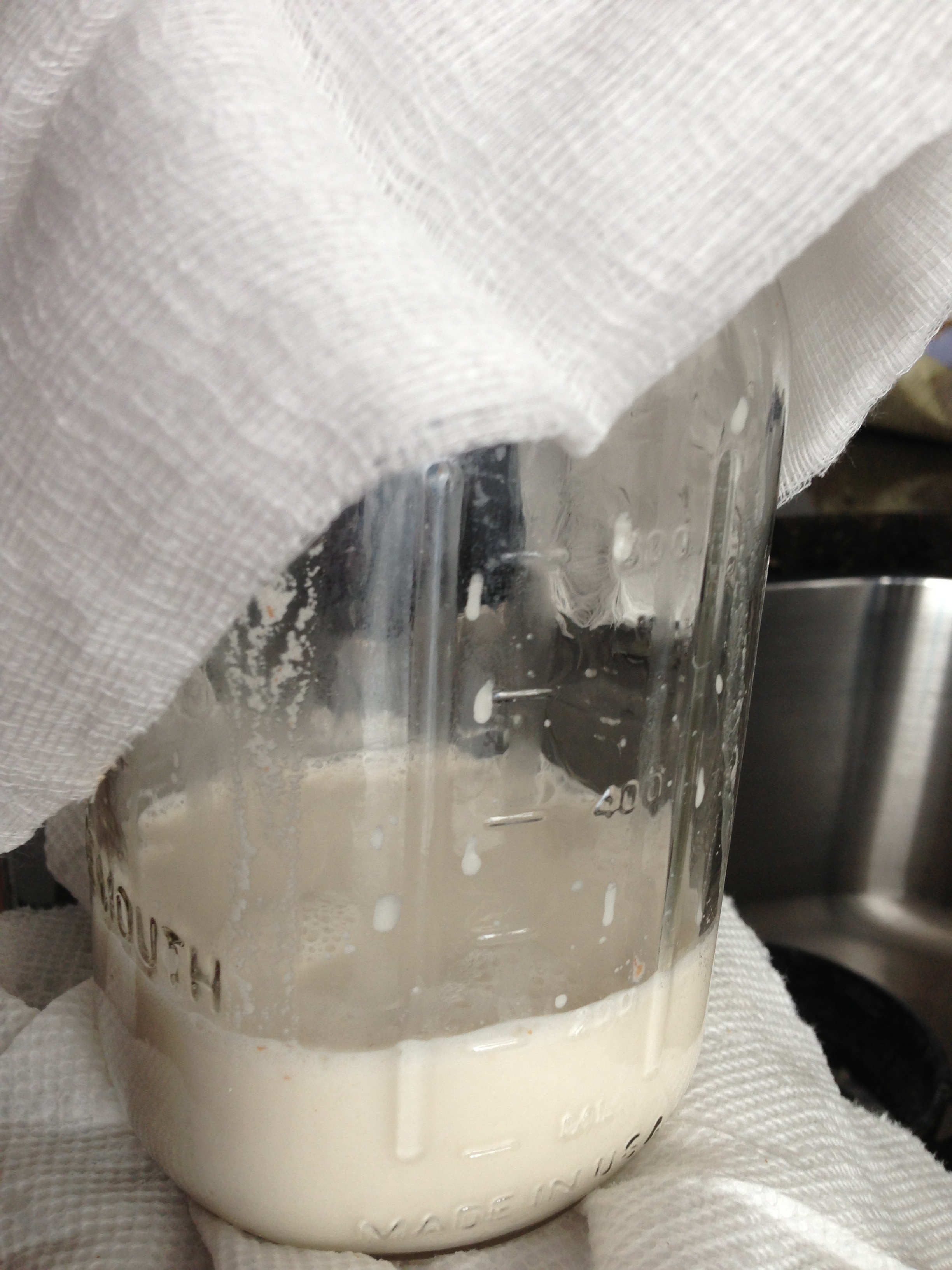 Straining with Cheesecloth. I have since purchased a nutmilk bag, and it's SO MUCH easier. This is a great one
