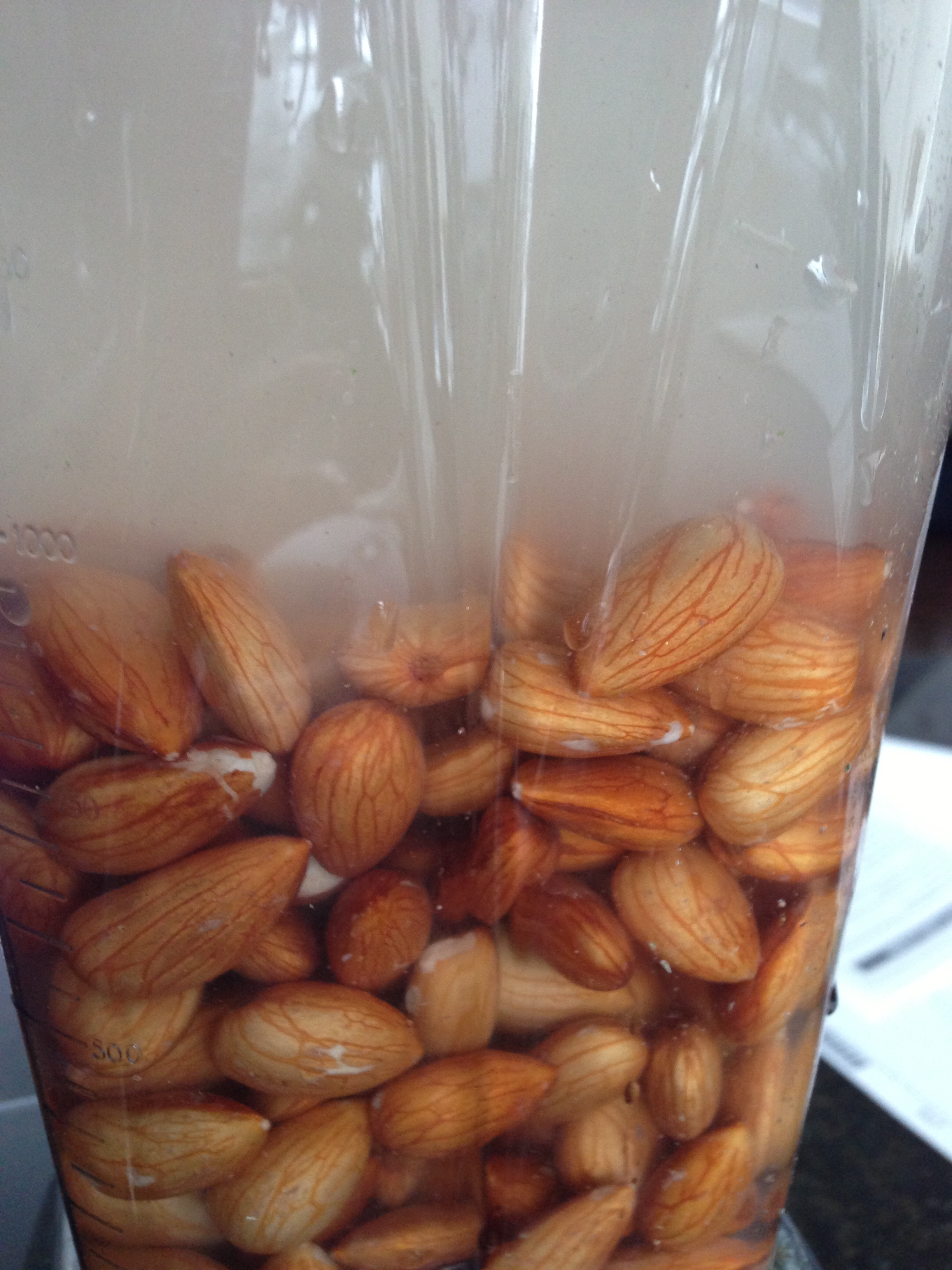 Almonds in the Vitamix. Ready to blend