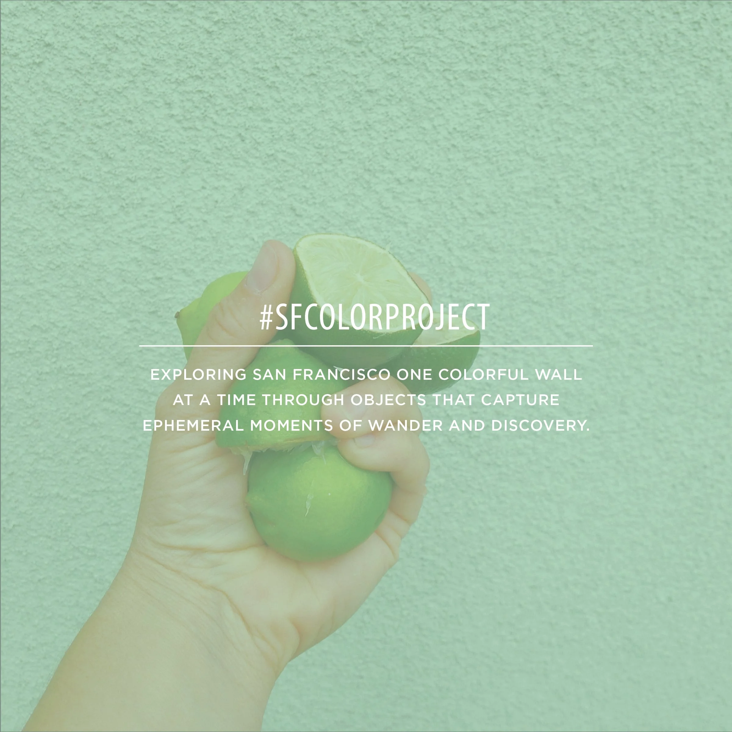 SFCOLORPROJECT-title2-4.jpg