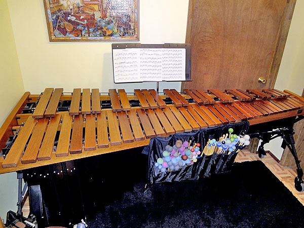 Adams Van Sice Artist Series Marimba (5.0 octaves)