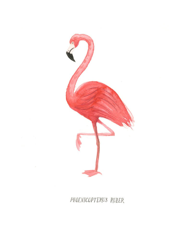 critters_flamingo.gif