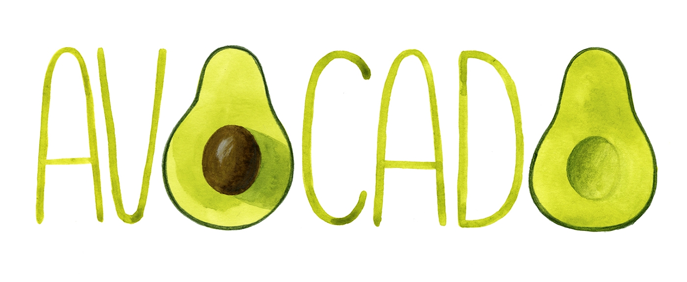 avocado_web_portfolio_220.jpg