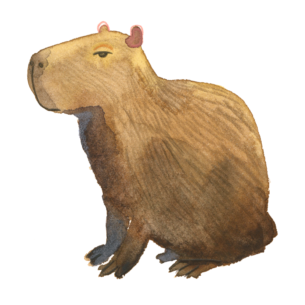 capybara_web.gif