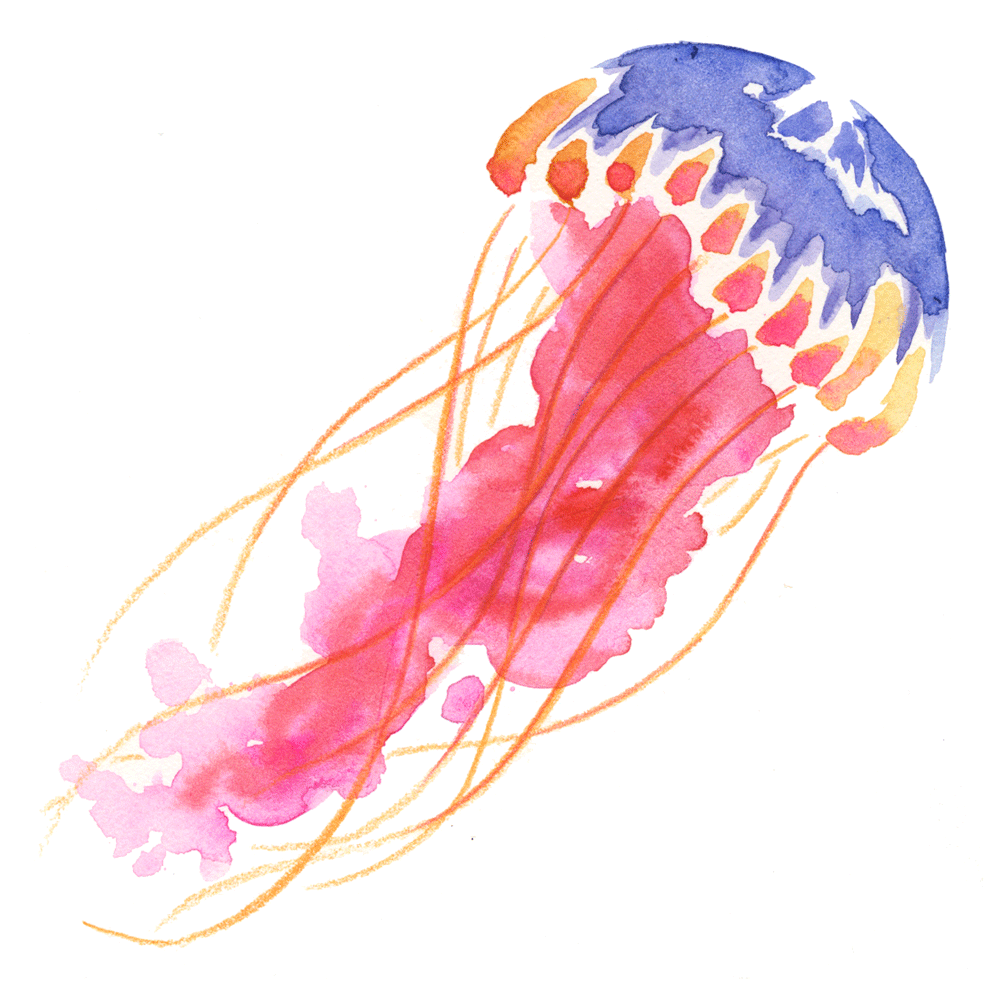 jellyfish_web.gif