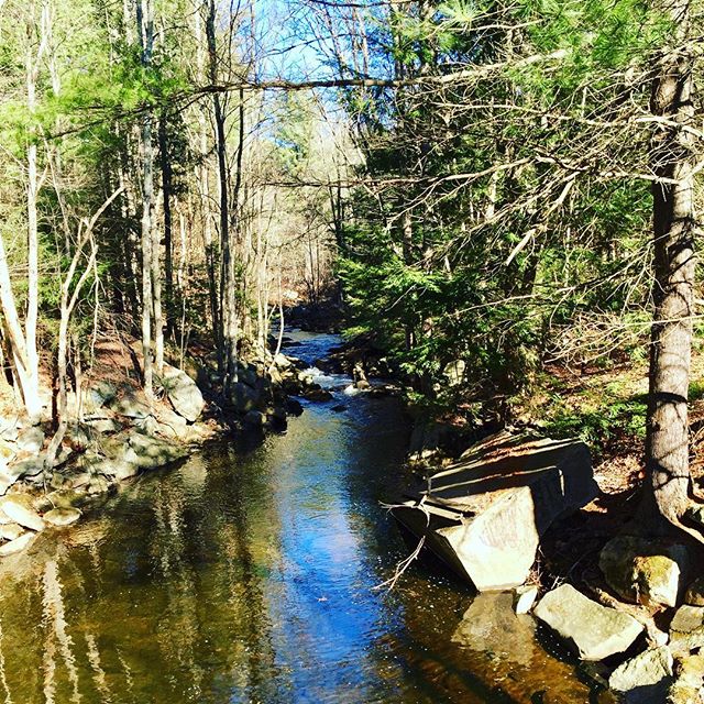 Gorgeous Thanksgiving Day trail run 🏃 🍁🍗🍷❤️ #happythanksgiving #grateful