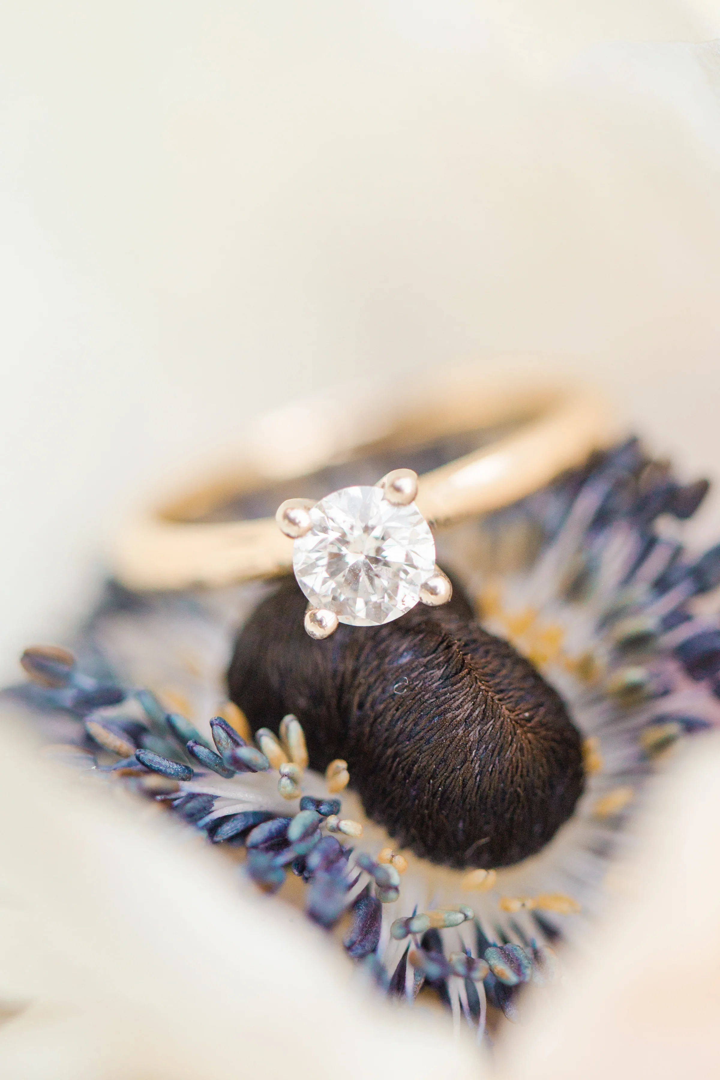 DoyleWedding-722.jpg