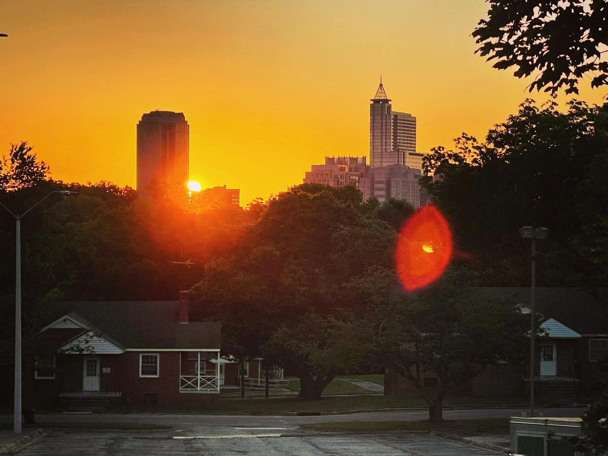  Sunrise at Dix Park  Raleigh, NC 