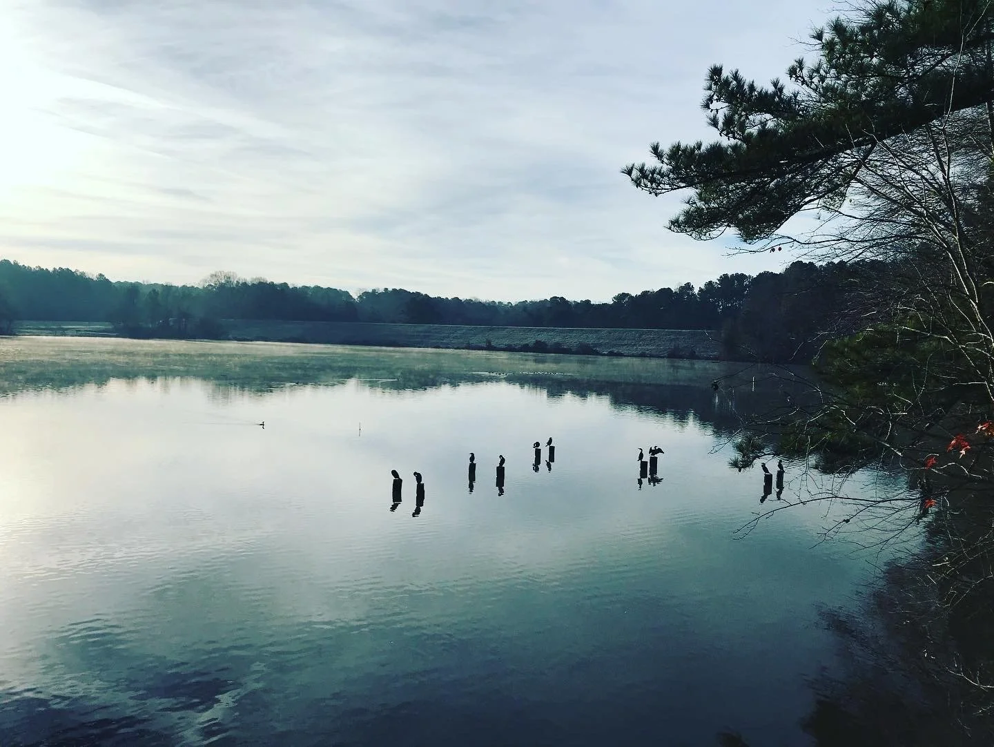  Shelley Lake  Raleigh, NC 