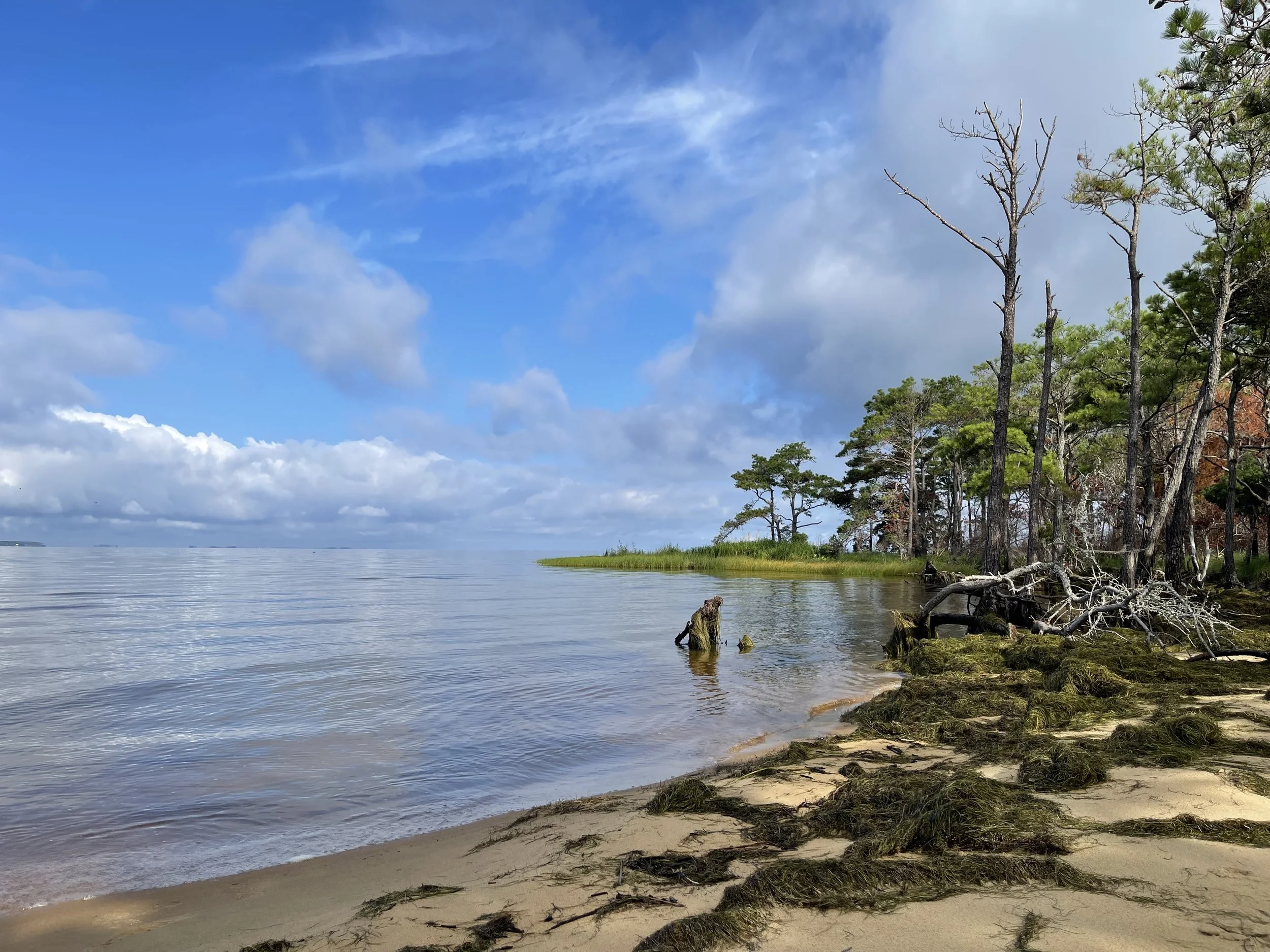  Across Jockey’s Ridge  Nags Head, NC 