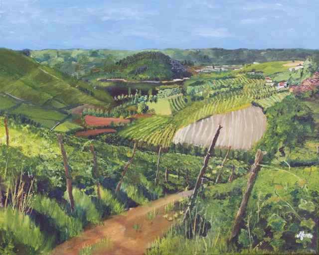 Vineyard