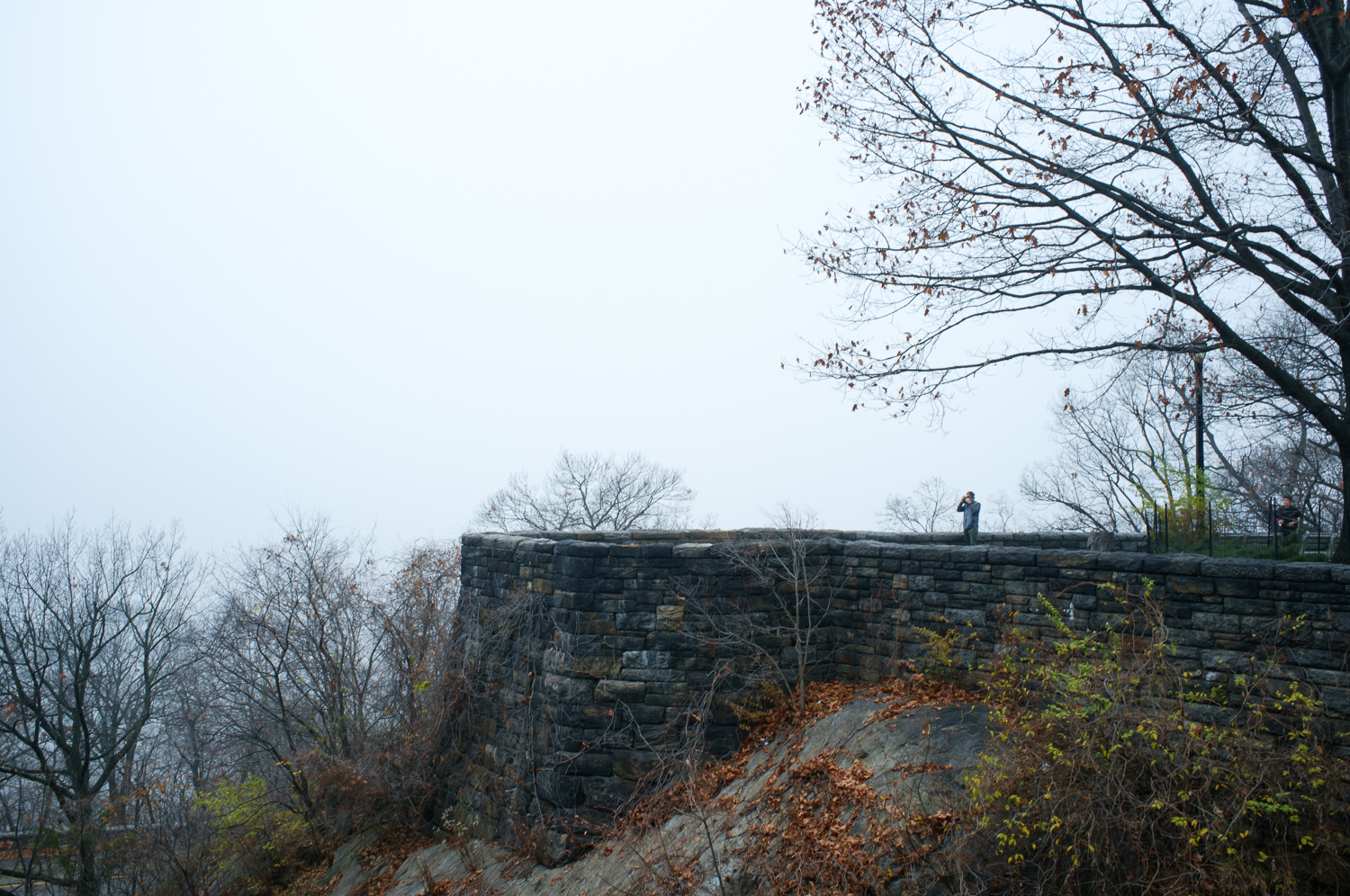 nyfog-4812.jpg