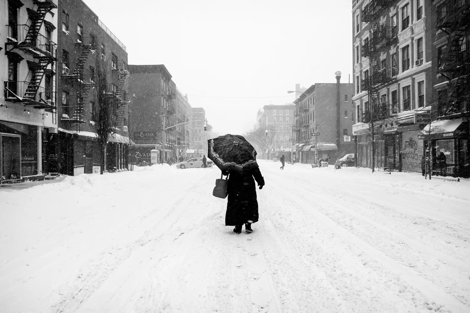 The Blizzard of 2016