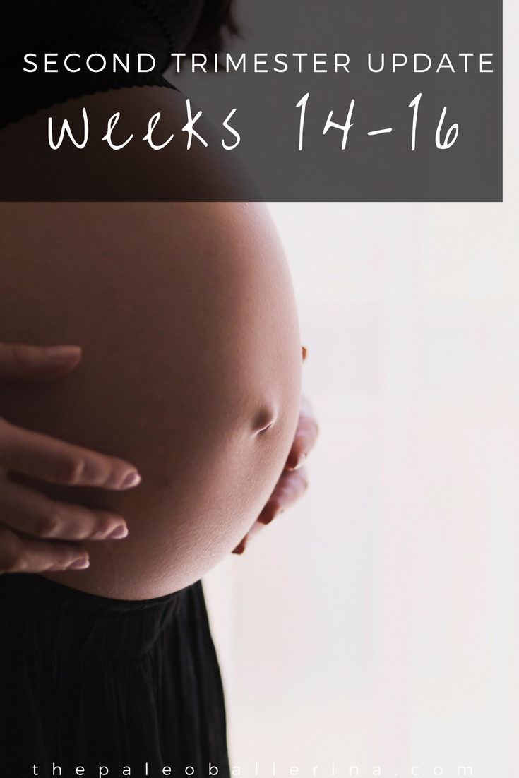 Second Trimester Update: Weeks 14 - Weeks 16