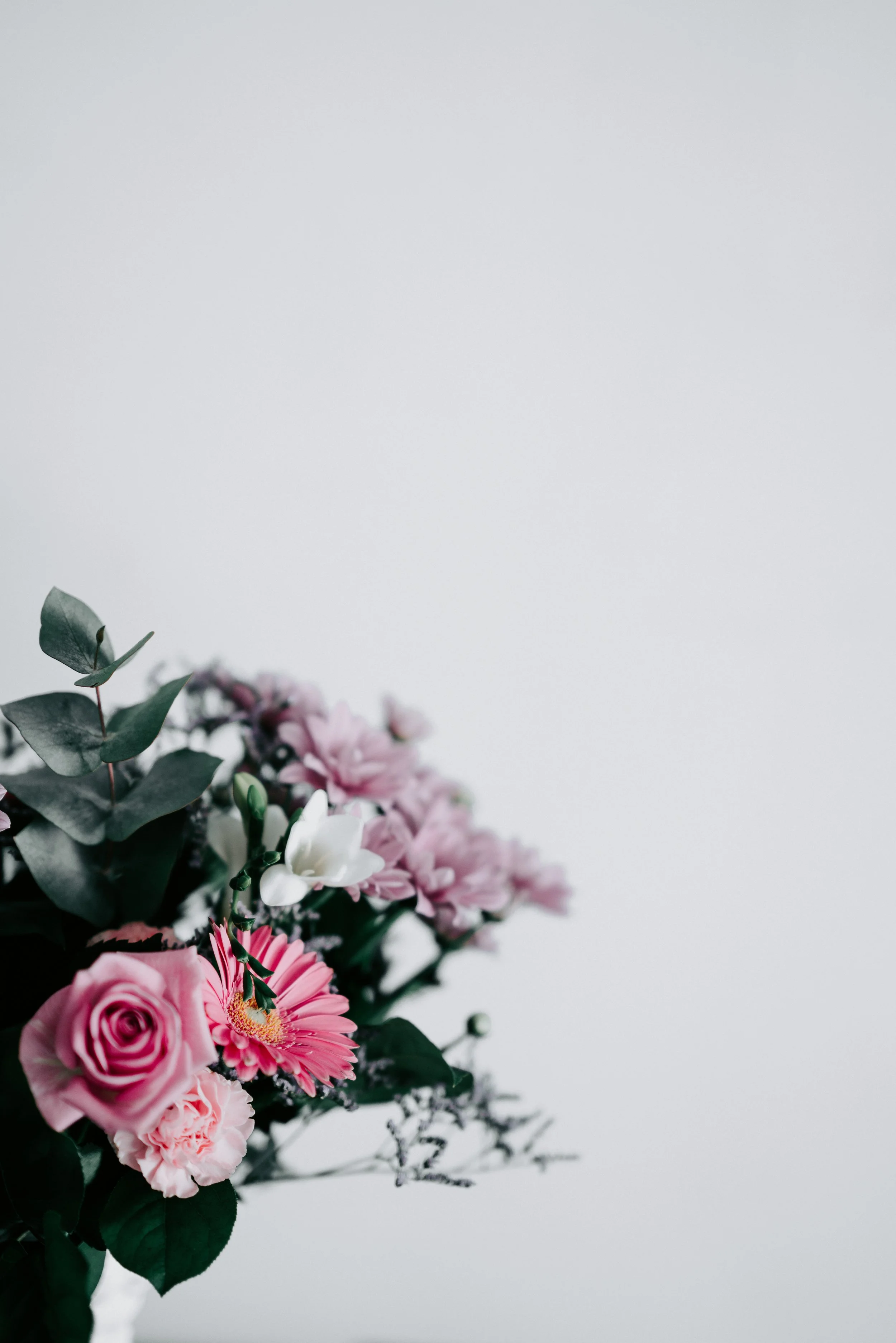 annie-spratt-749638-unsplash.jpg