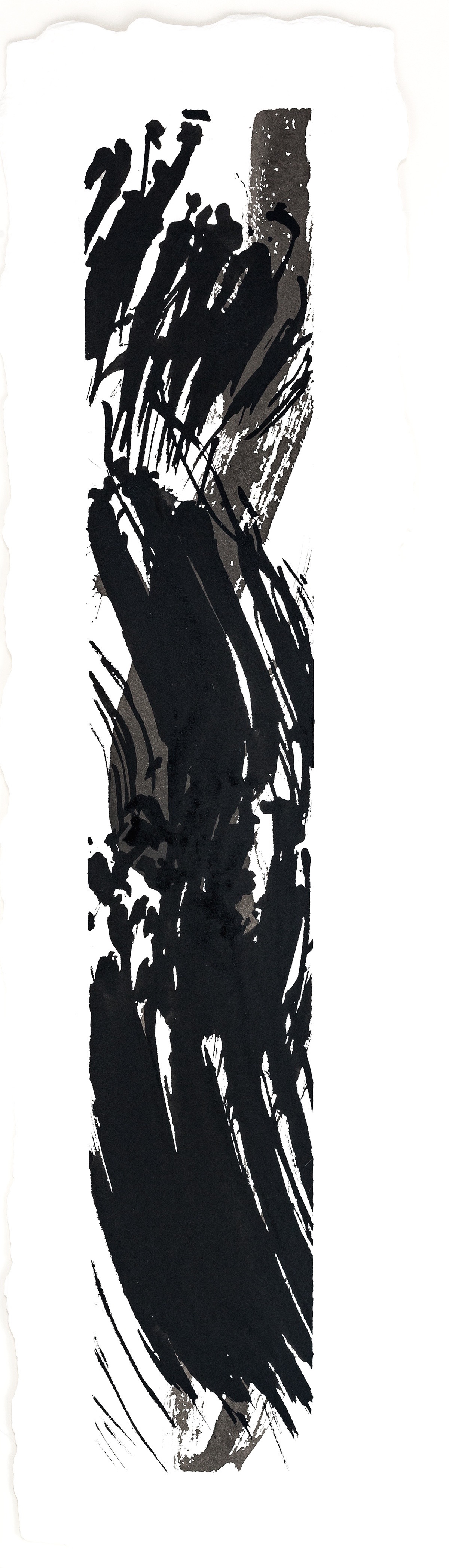 Mistral 2016 inks on paper 9 x 31"