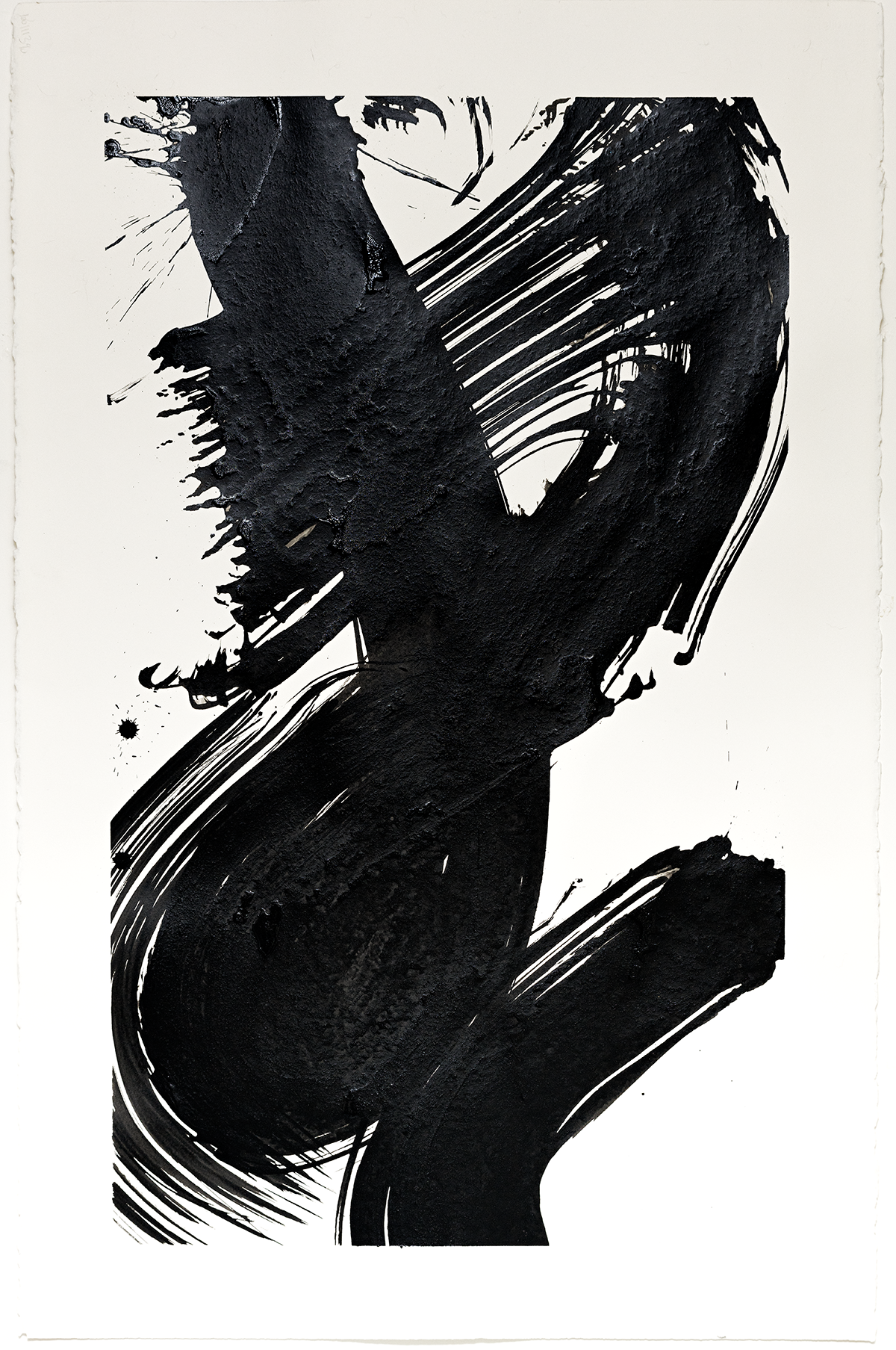 Windblown 2016 ink on paper 40 x 26"