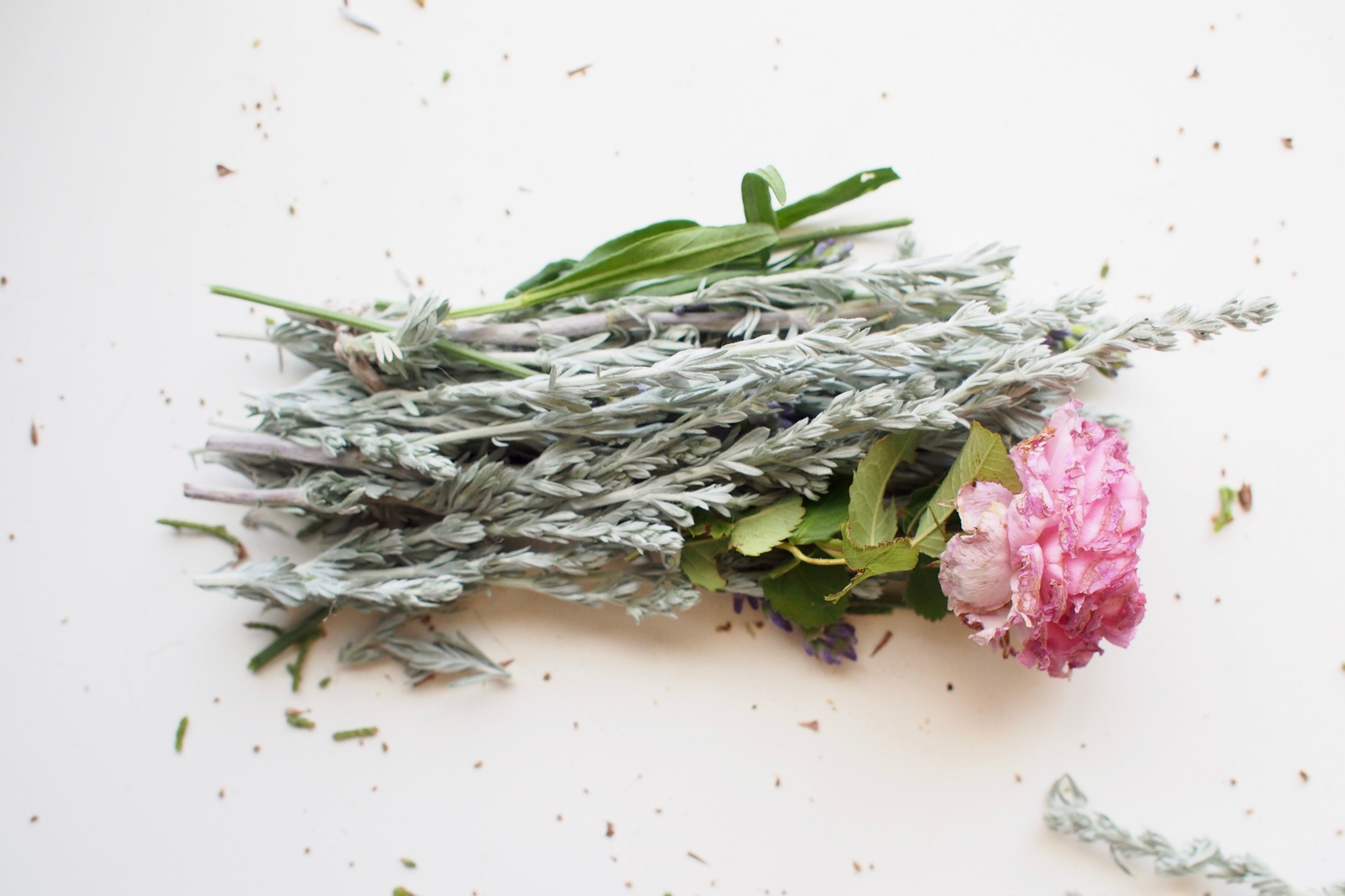 sagebrush, lavender & rose