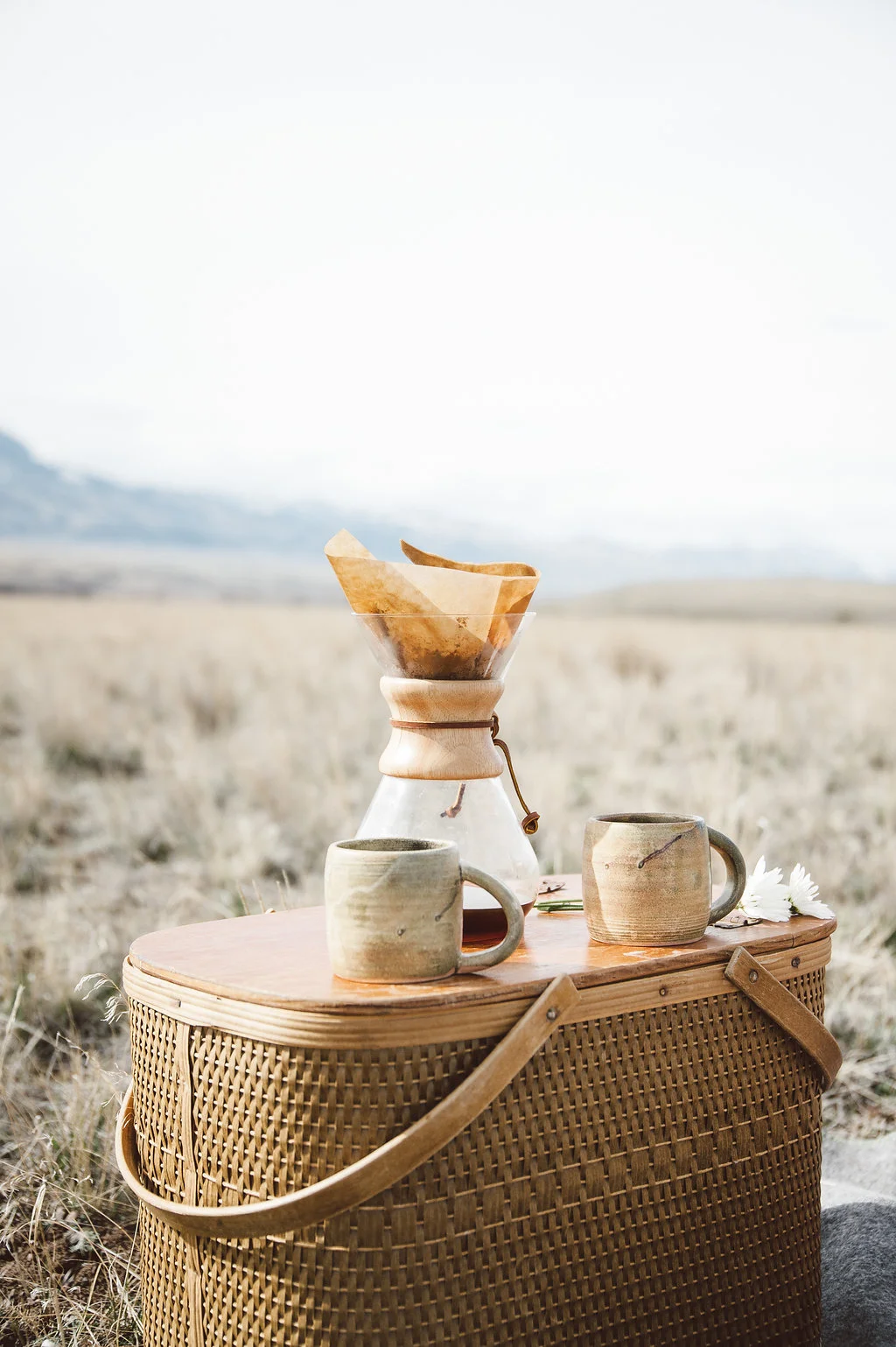 set of 2 mugs by Jeff Purcell