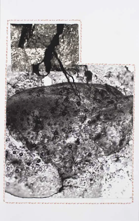 "120 thru 169" (69.89.28.120 - 69.89.28.169) Utah Drawing 2013 
