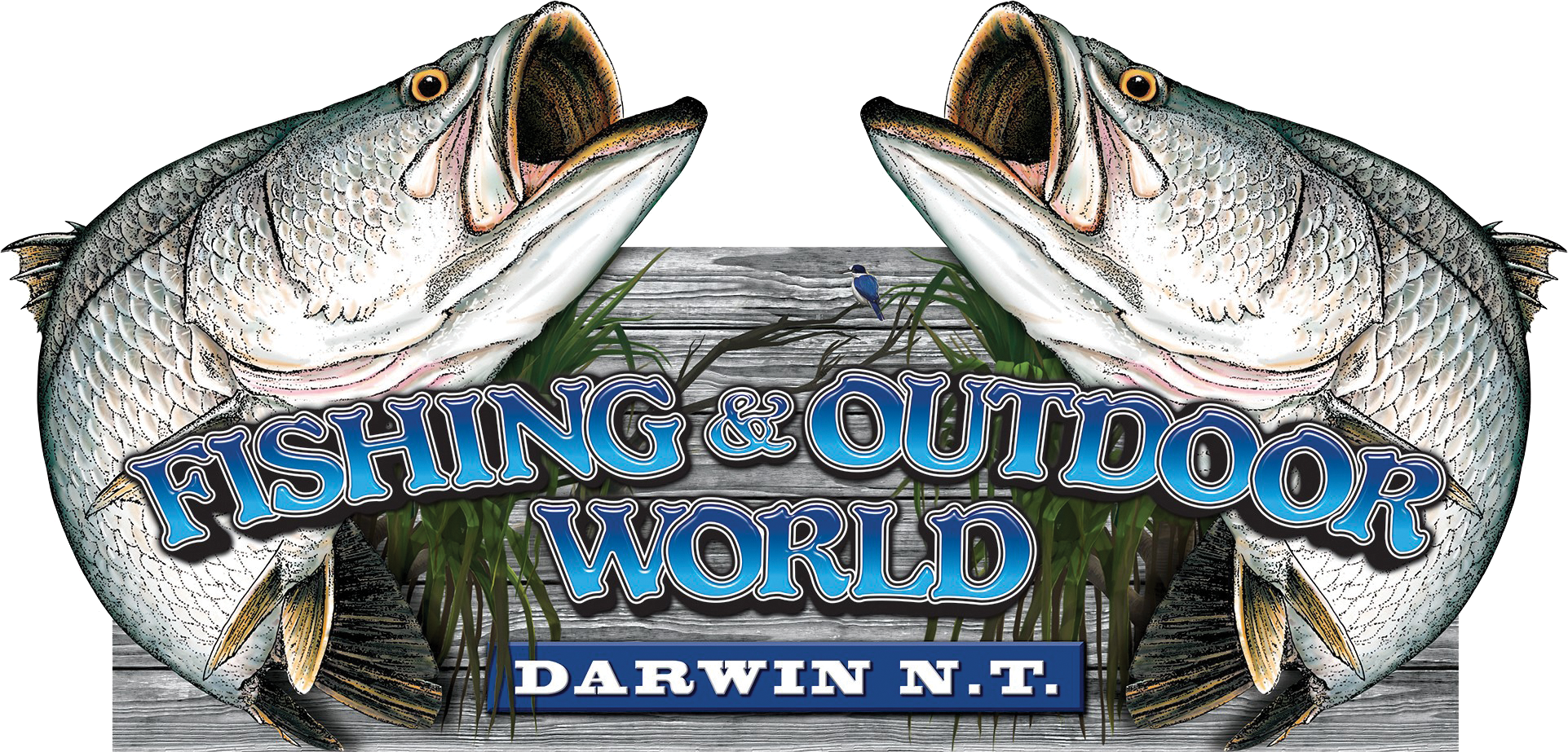 Fishing and Outdoor World