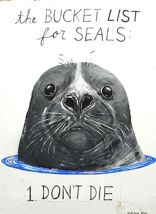 THE BUCKET LIST FOR SEALS