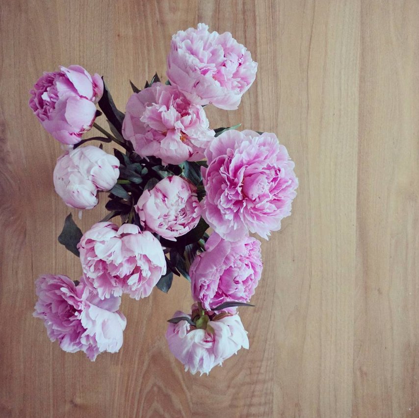 peonies copy.jpg