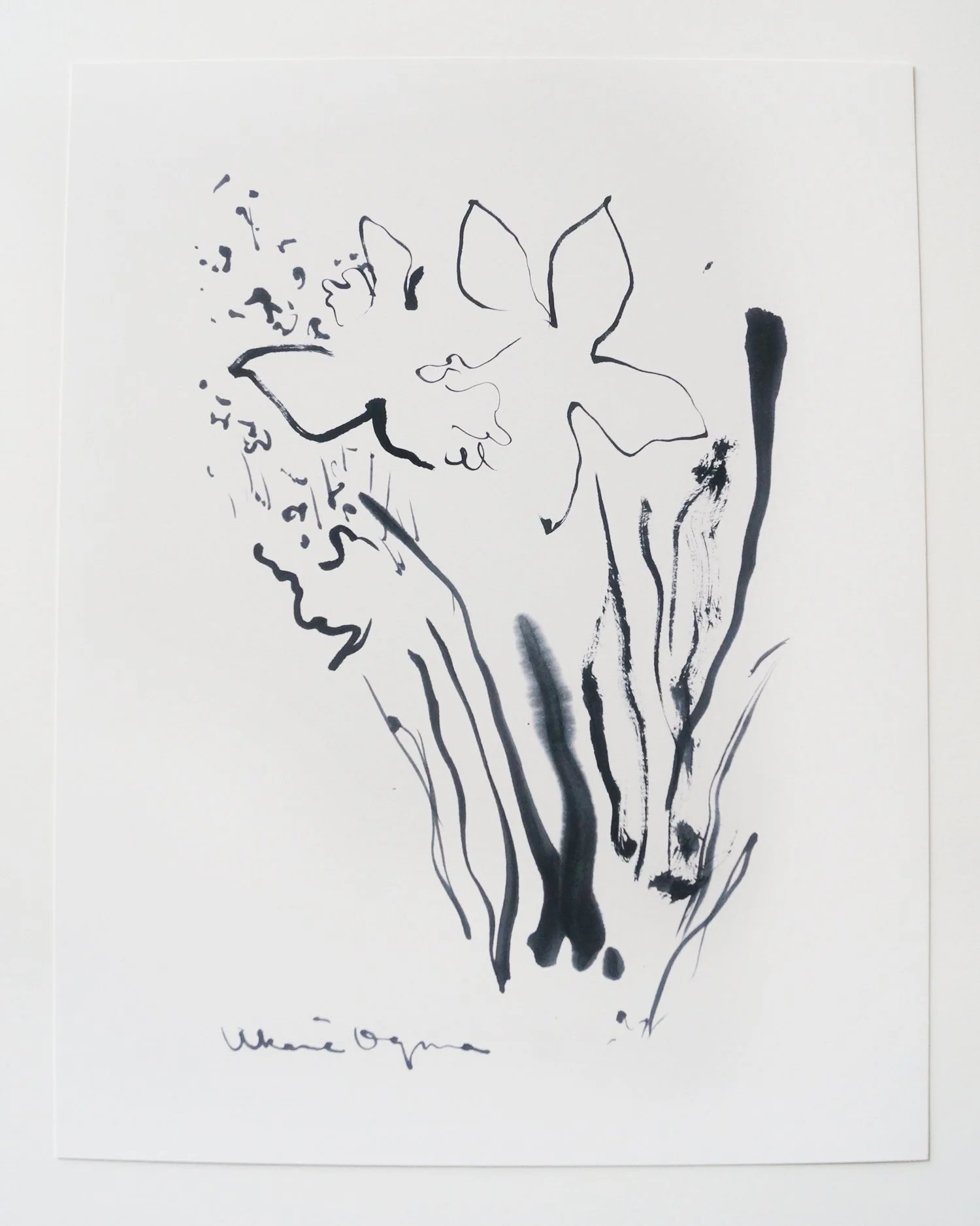 Akane Ogura_Daffodil_2019_Print_ Production-1500w.jpg