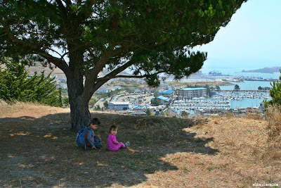Taking in the view of the Marina