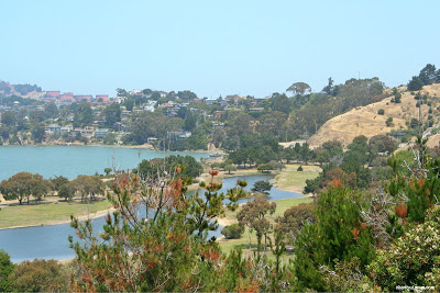The Pond at Miller Knox