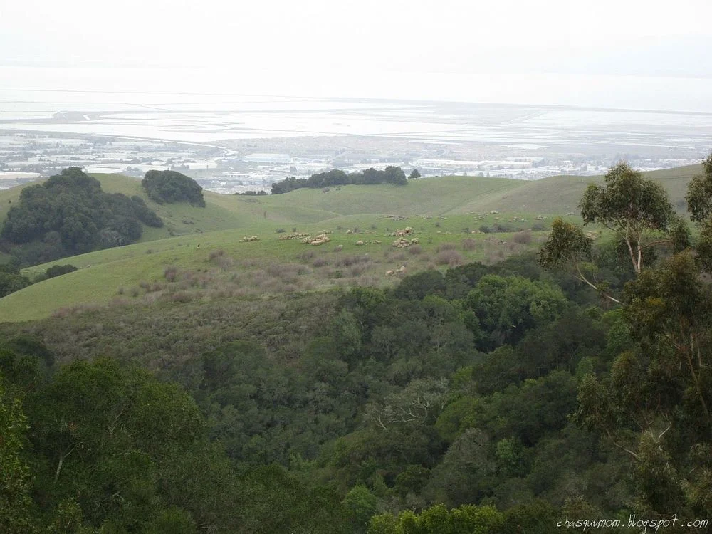 A Chilly Hike at Garin Regional Park