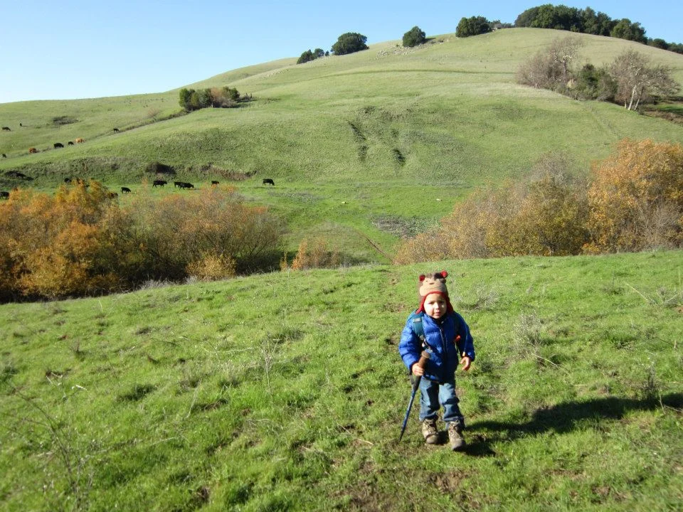 New Year's Day Hike: Garin Dry Creek