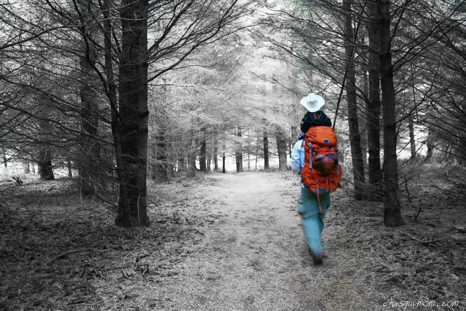 The Ever Changing Point Reyes National Seashore