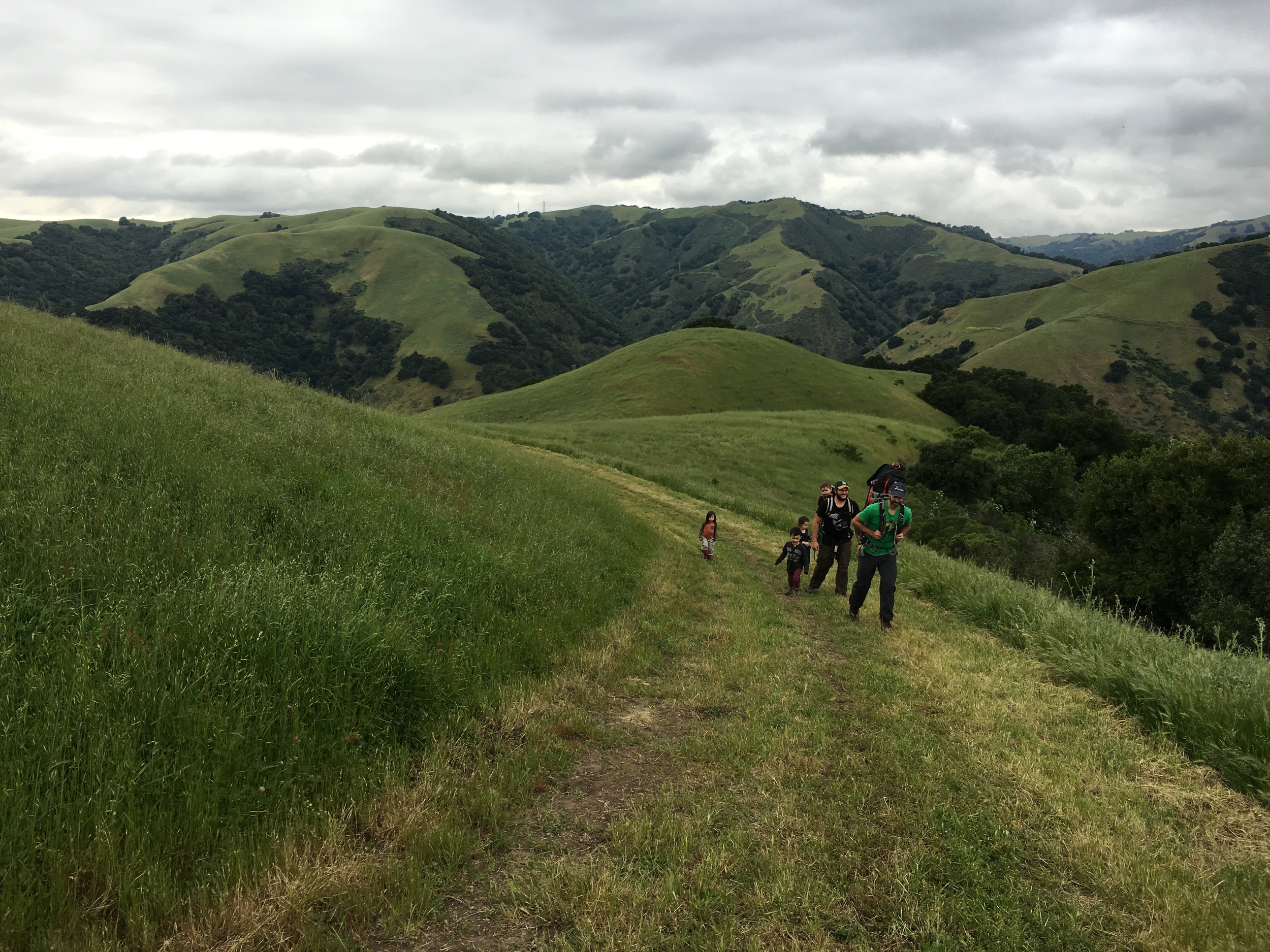 A New View in the East Bay ~ Vargas Plateau Regional Park