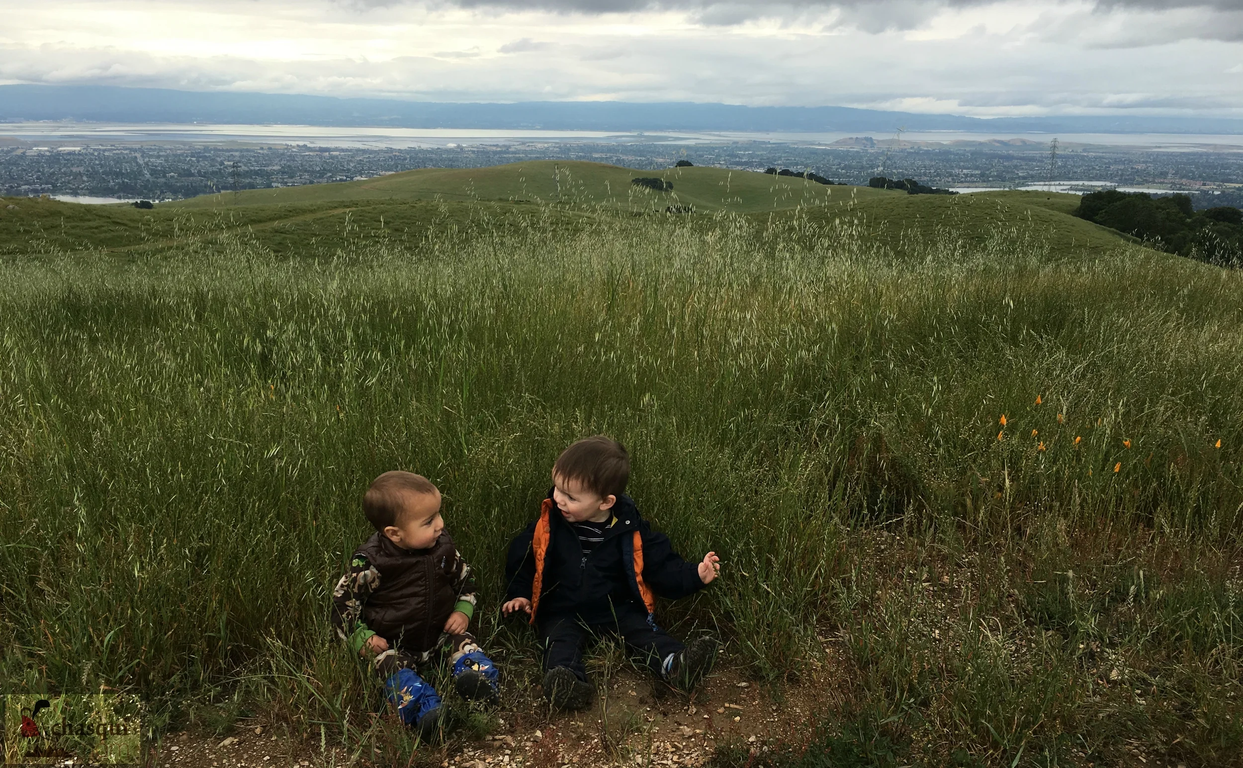The View Point from Upper Ranch Trail.