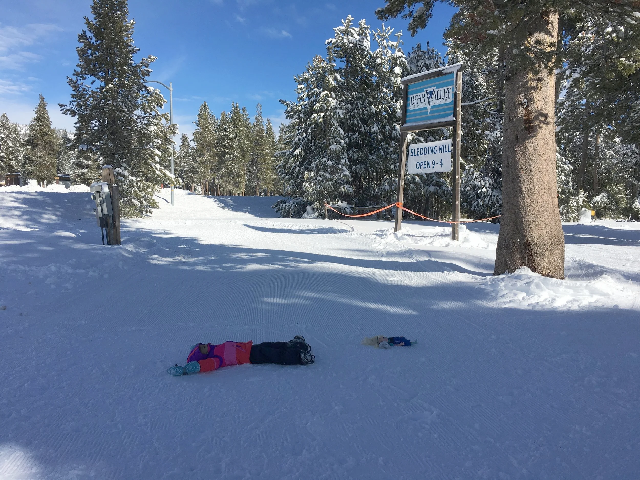 My daughter and Elsa decided to do snow angels before xc-skiing.