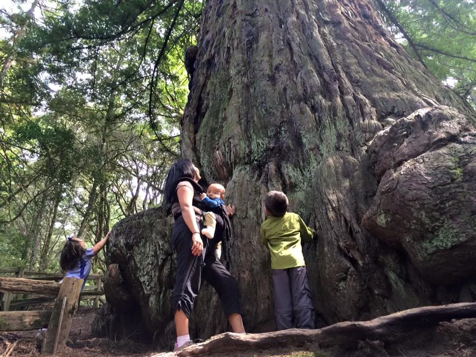 Exploring with my three.