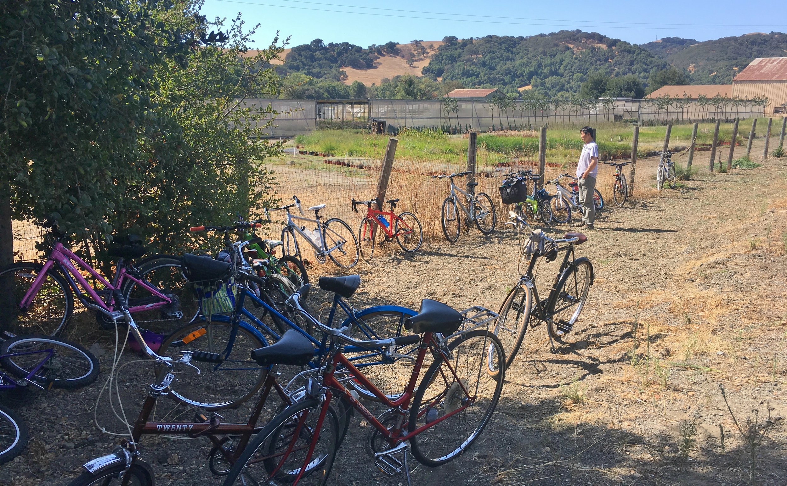 Bikes upon Bikes!