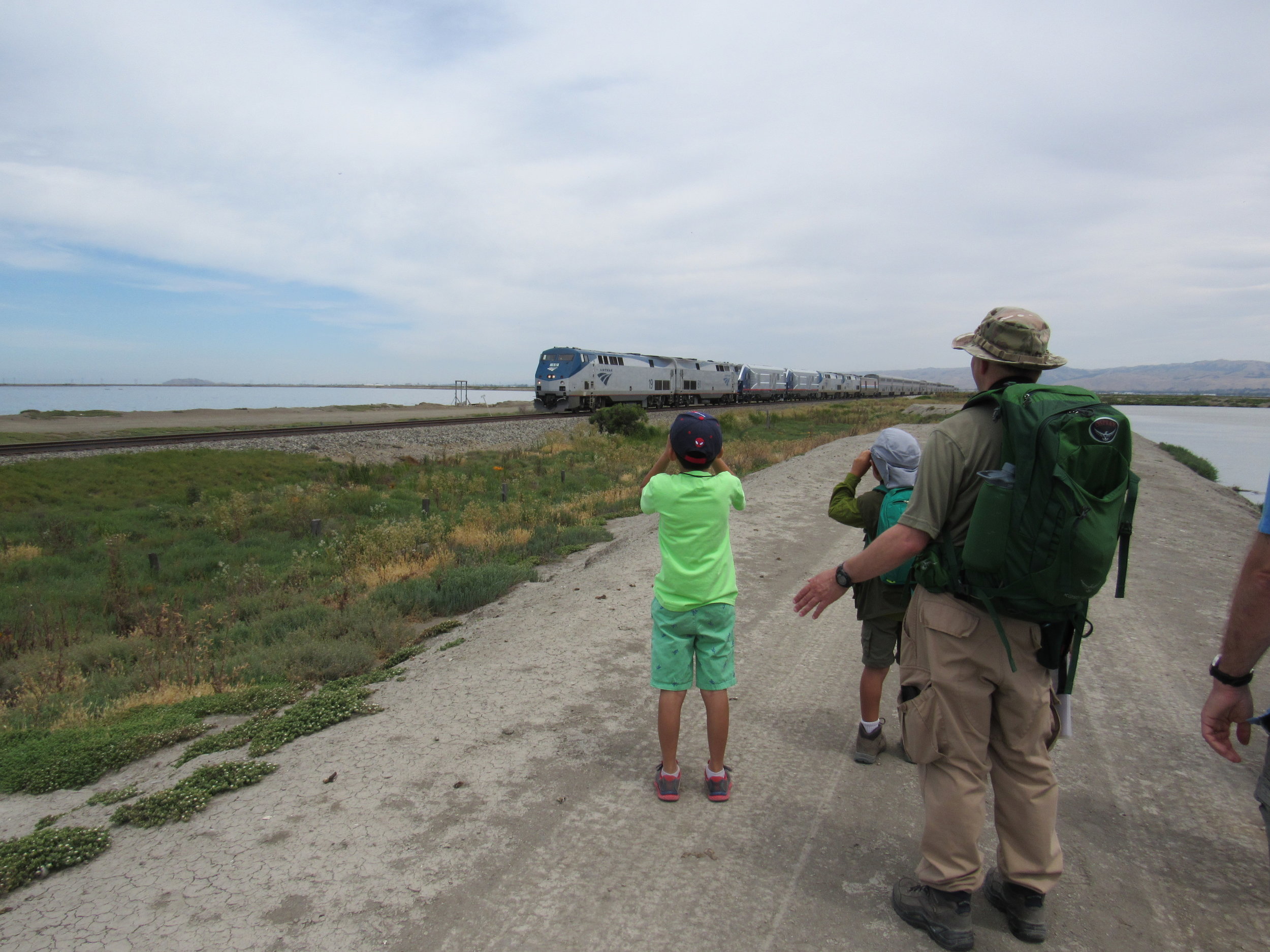 Urban Hiking: The Train