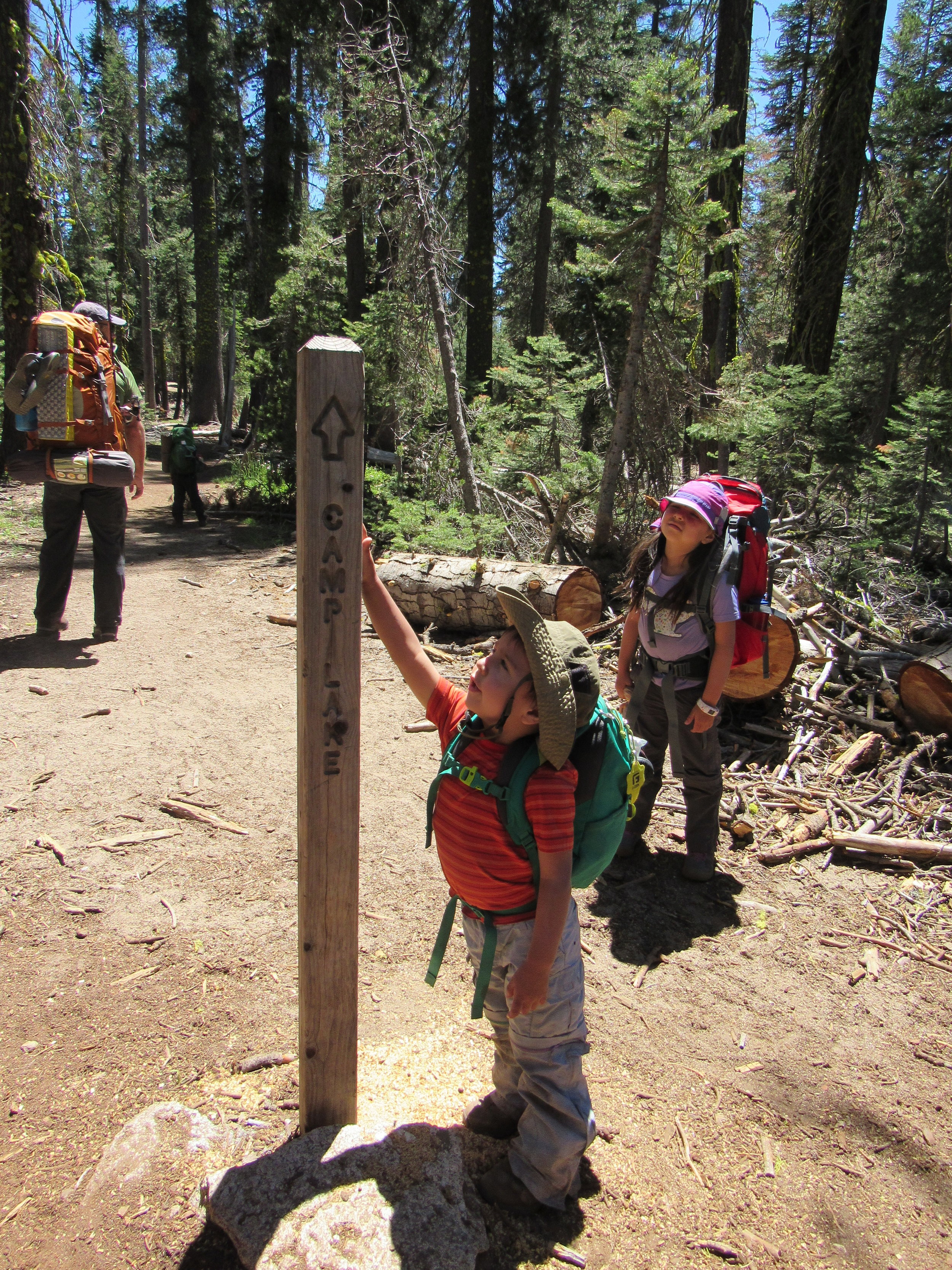 Camp Lake Trail-Marker