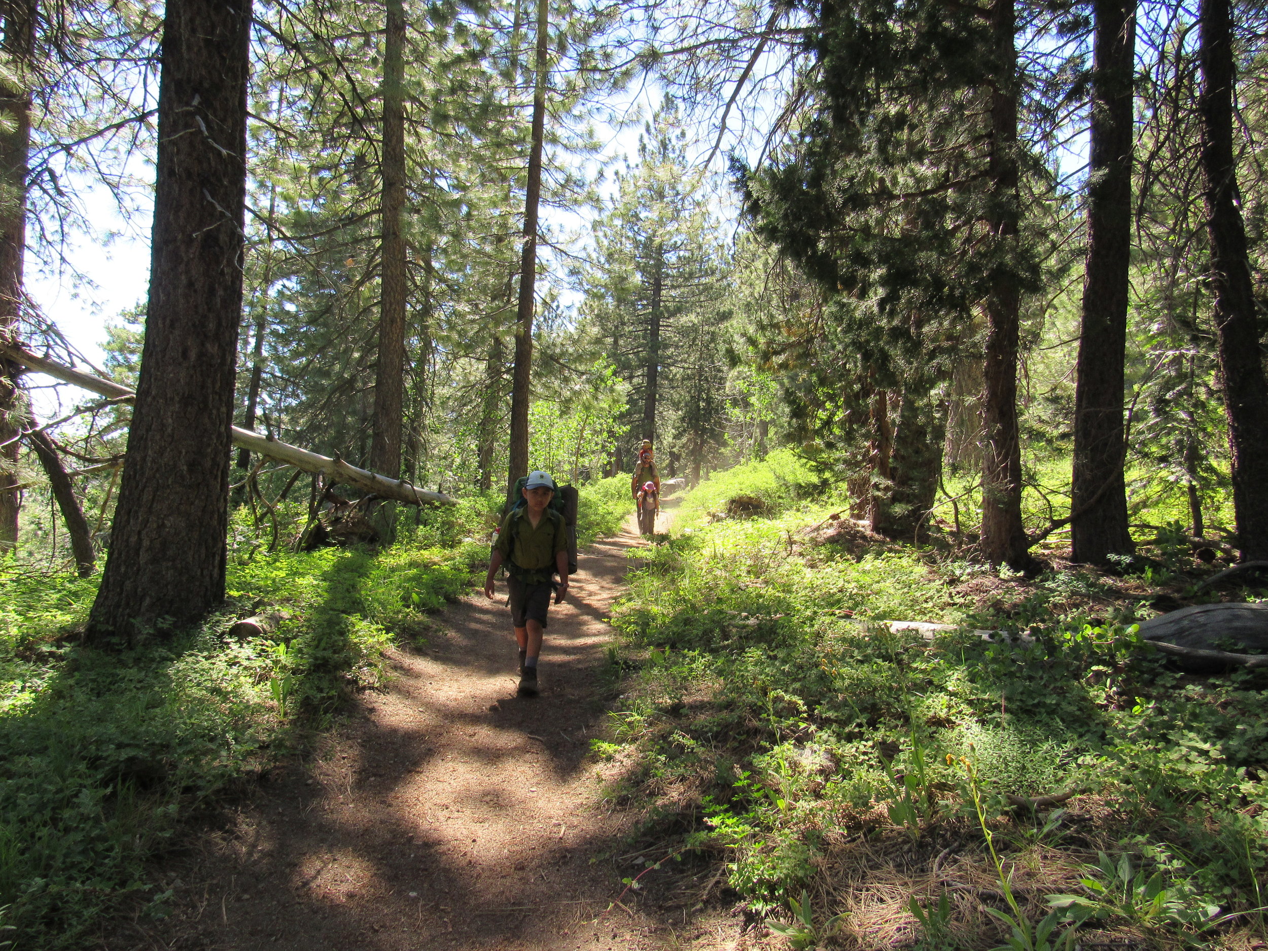 Golden Hiking